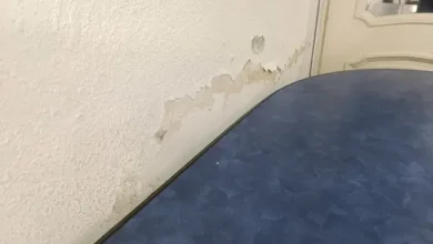 Cómo puedes eliminar la humedad en las paredes