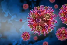 Virus Nipah: síntomas, riesgo de contagio y medidas de prevención