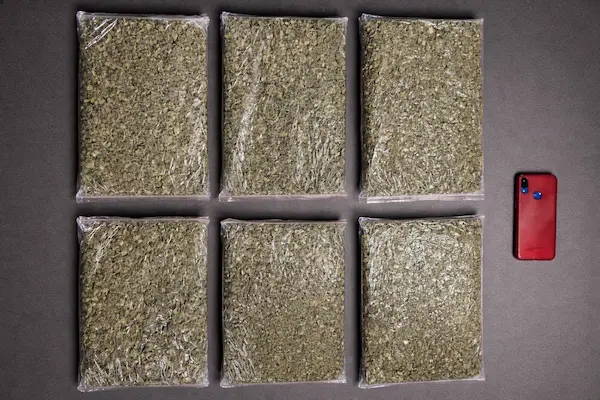 Los 2 kilos 930 gramos que incriminaron a Elian