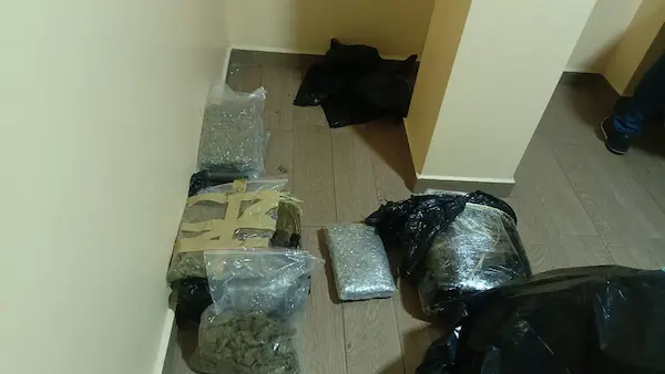 Parte de las sustancias sujetas a fiscalización encontradas durante la tarea