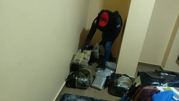 Lo decomisado fue trasladado mediante cadena de custodia, hasta que la autoridad lo solicite