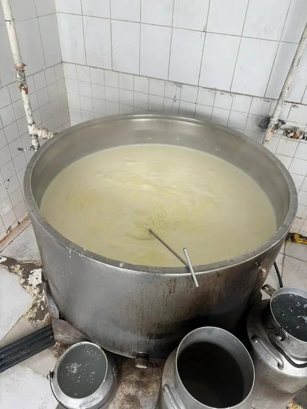 Falta de higiene y presencia de plagas