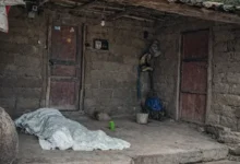 Adulta mayor y su nieta envenenadas con comida