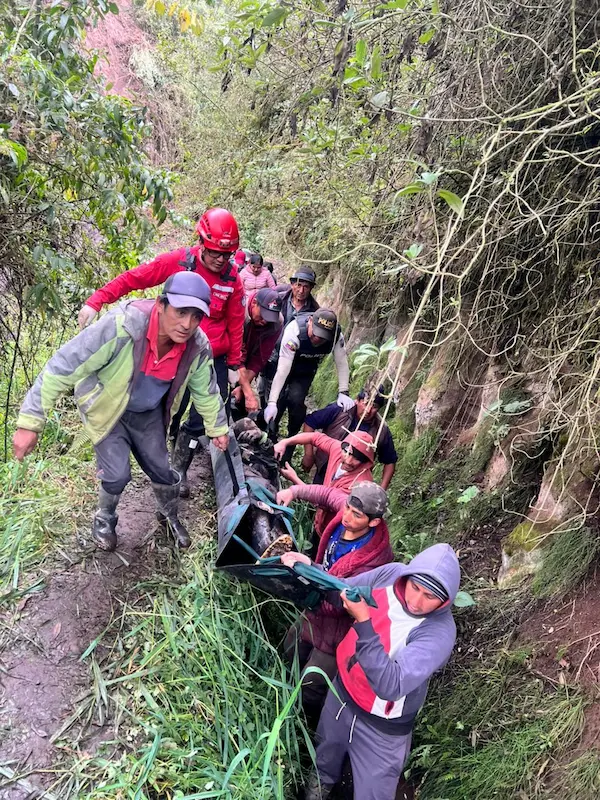 Trasladar el cadáver fue una verdadera odisea pro lo irregular del terreno