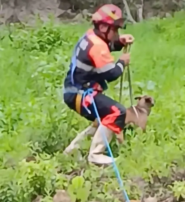 La defensa de la vida, en todas sus formas, los motiva a actuar