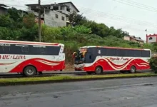 Buses Cooperativa Rayo de Luna suspenden servicio en Macas.
