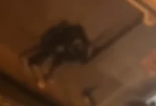 Video | Jóvenes protagonizaron una pelea en Riobamba