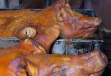 Hornado de Riobamba conquista a Taste Atlas