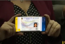 Certificado de votación digital en Ecuador: cómo descargarlo gratis
