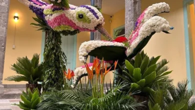 Circuito de las flores en Ambato del 12 al 17 de febrero.