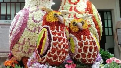 Fiestas de Ambato 2026 conoce eventos de la agenda cultural.