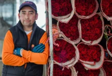 Flores de Cotopaxi conquistan el mundo en San Valentín.