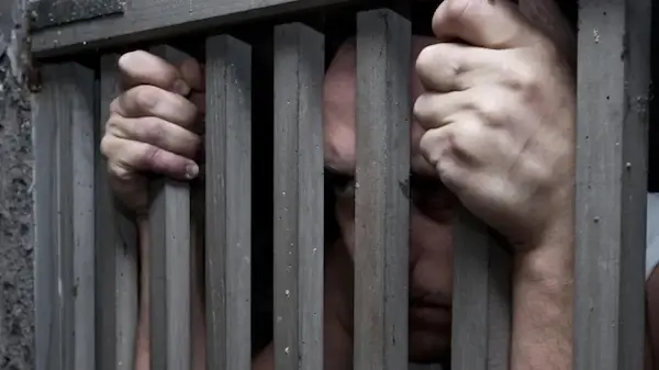 Este negocio ilícito tarde o temprano acarrea consecuencias legales o mortales