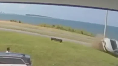 Video | Hombre de 78 años muere tras ser atropellado