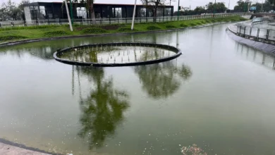 Lagunas del parque de Ingahurco en Ambato presentan deterioro.
