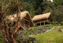 Premio ArchDaily 2026: vota por proyecto de Riobamba