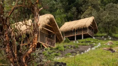 Premio ArchDaily 2026: vota por proyecto de Riobamba