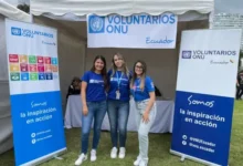 Programa de Voluntarios de las Naciones Unidas 2026: pagos e inscripciones