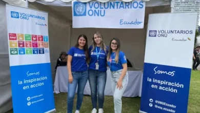 Programa de Voluntarios de las Naciones Unidas 2026: pagos e inscripciones