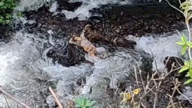 Tungurahua encuentran el cuerpo de hombre en descomposición.