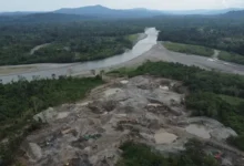 Ecuador suspende minería en Napo por tiempo indefinido