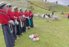 World Vision Ecuador impulsa el Centro de Mejoramiento Genético de Alpacas