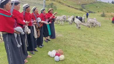 World Vision Ecuador impulsa el Centro de Mejoramiento Genético de Alpacas