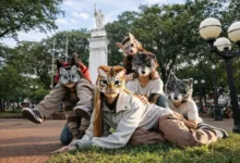 ¿Qué es therian? Personas que se identifican como animales