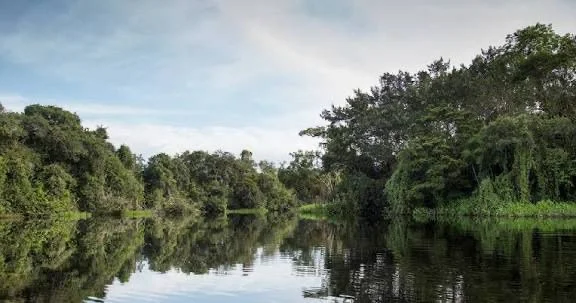 164 mil ha de humedales en Morona Santiago según EcoCiencia.