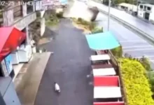 Video | Hombre se salva de ser aplastado por una roca gigante