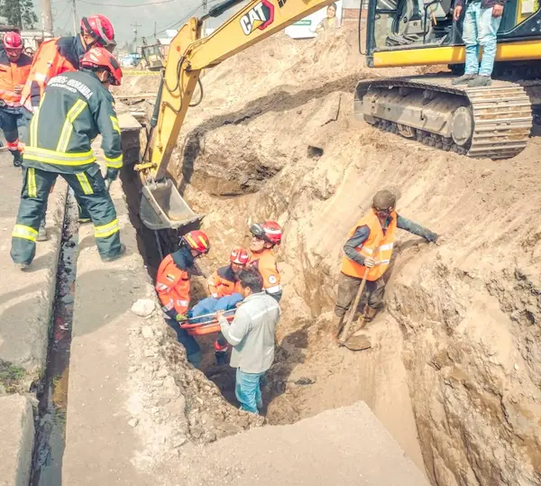 Pese a los esfuerzos, no hubo nada por hacer para salvarlos