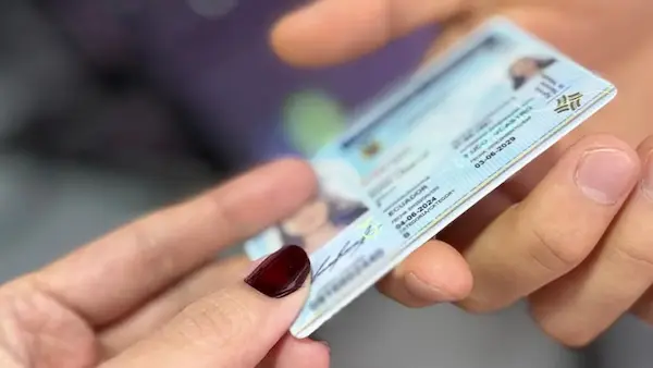 Licencias de conducir