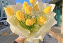 21 de marzo flores amarillas: ¿por qué se celebra y cuál es su significado?