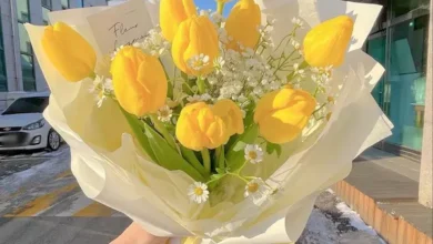 21 de marzo flores amarillas: ¿por qué se celebra y cuál es su significado?