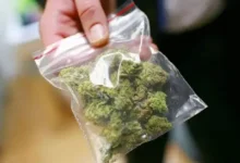 Ambato hombre recibe 12 años de prisión por drogas.