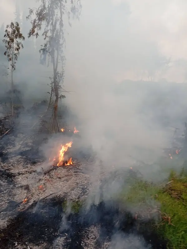 Bomberos apagaron incendio forestal en Chambo