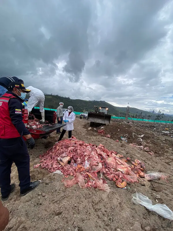 Camal clandestino de Chambo clausurado con 1.360 kg de carne