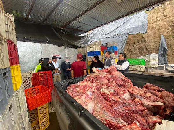 Marcelo Mancheno observó el irrespeto a la ley, decomisó el producto y clausuró el camal clandestino