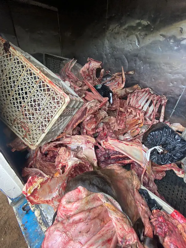 La carne se trataba en condiciones insalubres