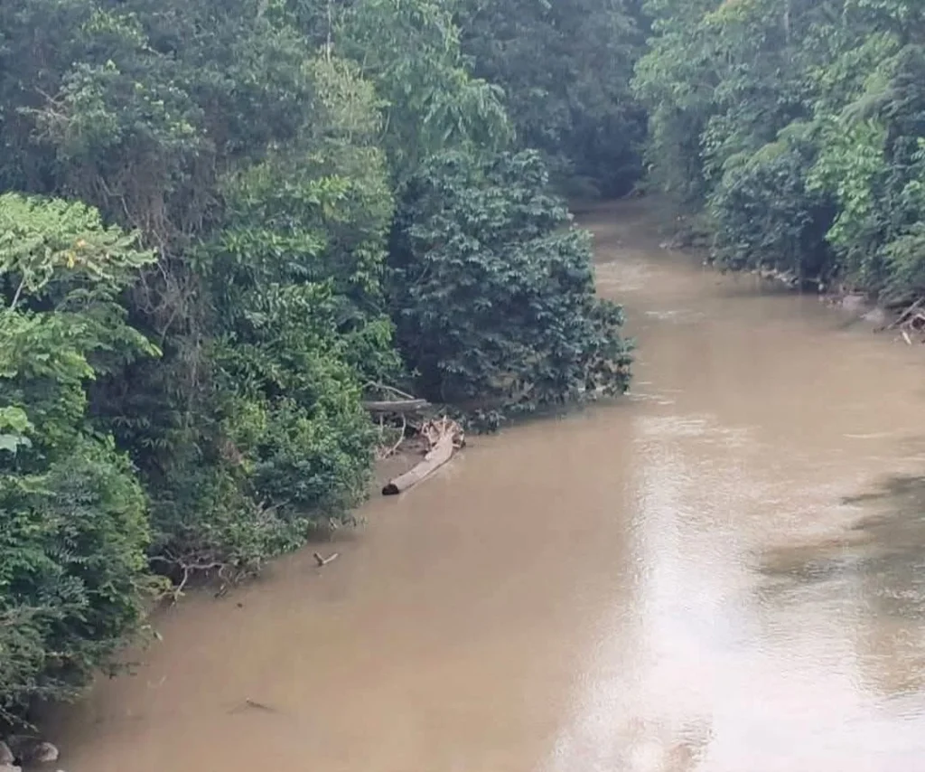 Comunidades denuncian contaminación del río Pangui en Taisha.