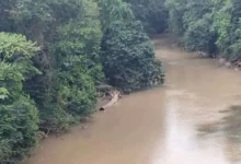 Comunidades denuncian contaminación del río Pangui en Taisha.