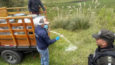 Decomisan 200 litros de leche con antibióticos en Guaranda.