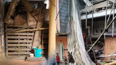 Denuncian presencia de ratas y culebras en casa en Caluma.