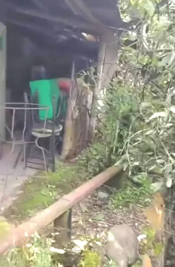 El peligro está latente en la vivienda