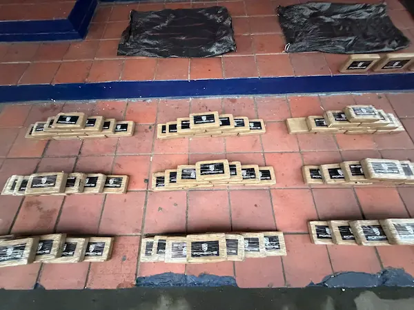 Operativo Bremen droga incautada