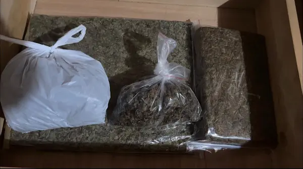 Marihuana decomisada en el allanamiento