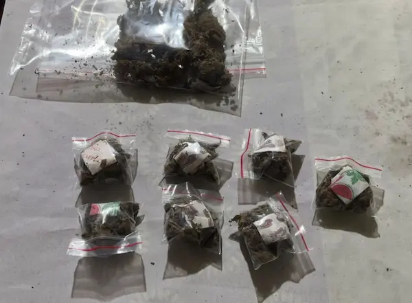 Parte de la sustancia que guardaba en el lugar que arrendaba