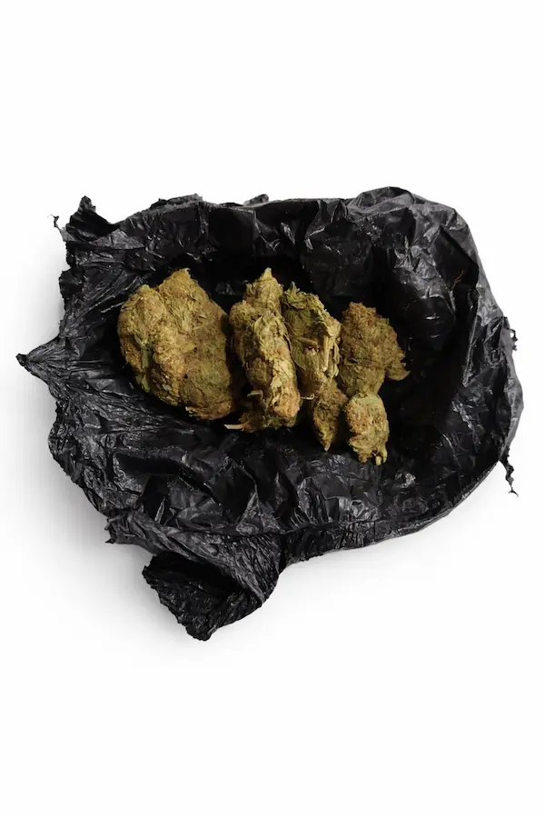 La sustancia sujeta a fiscalización que se le encontró