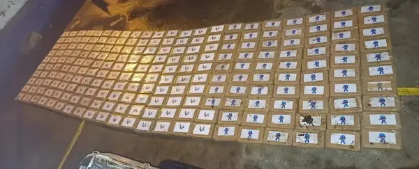 Los 220 paquetes que contenían clorhidrato de cocaína