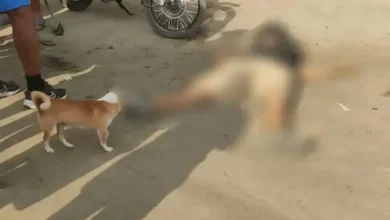 Hombre muerto a balazos mientras viajaba en moto